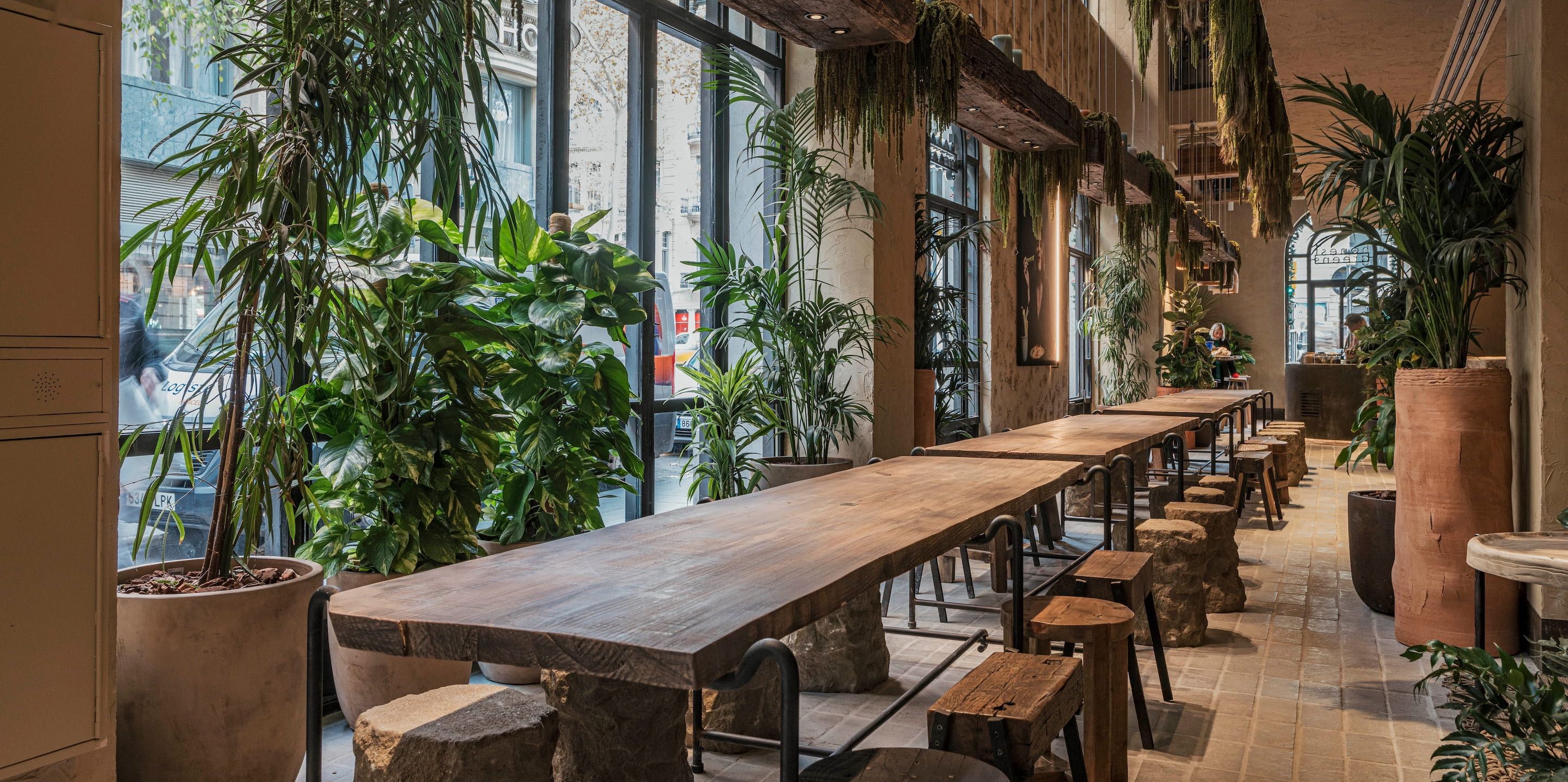 ROOA Urban Table interior - urban greenhouse design with natural wood and abundant plants